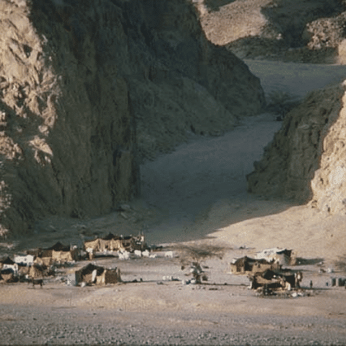 Bedouin camp