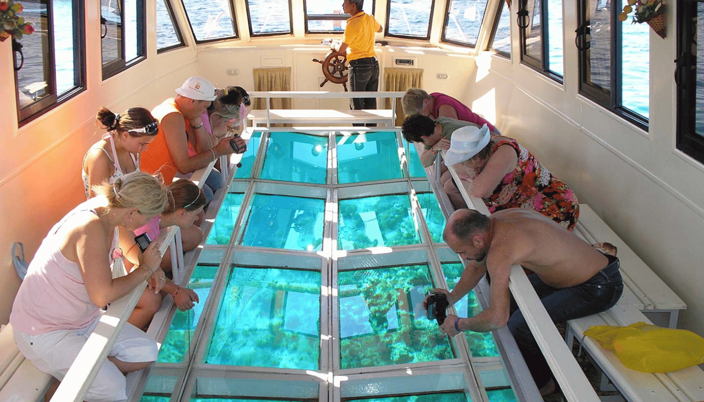 The Glass boat Trip In Sharm El Sheikh