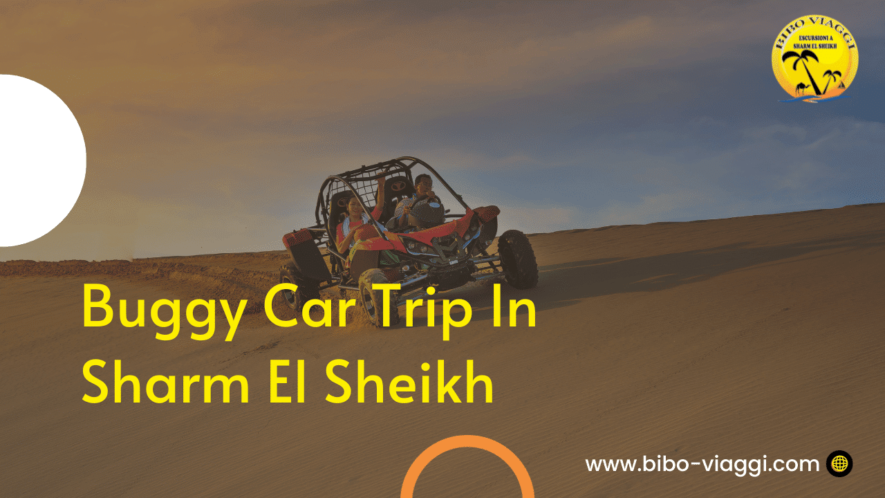Buggy Car Trip In Sharm El Sheikh