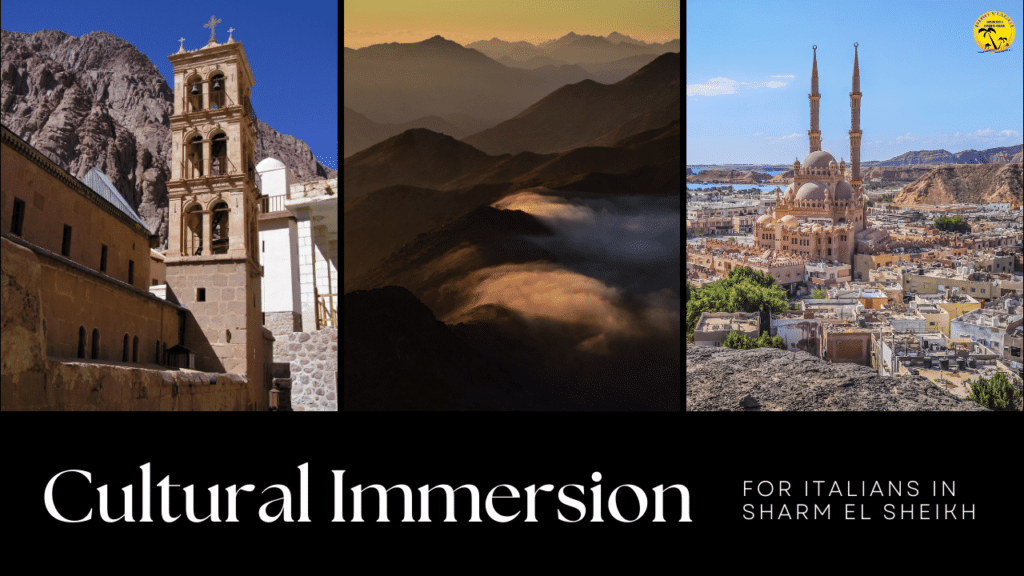 Cultural Immersion for Italians in Sharm El Sheikh
