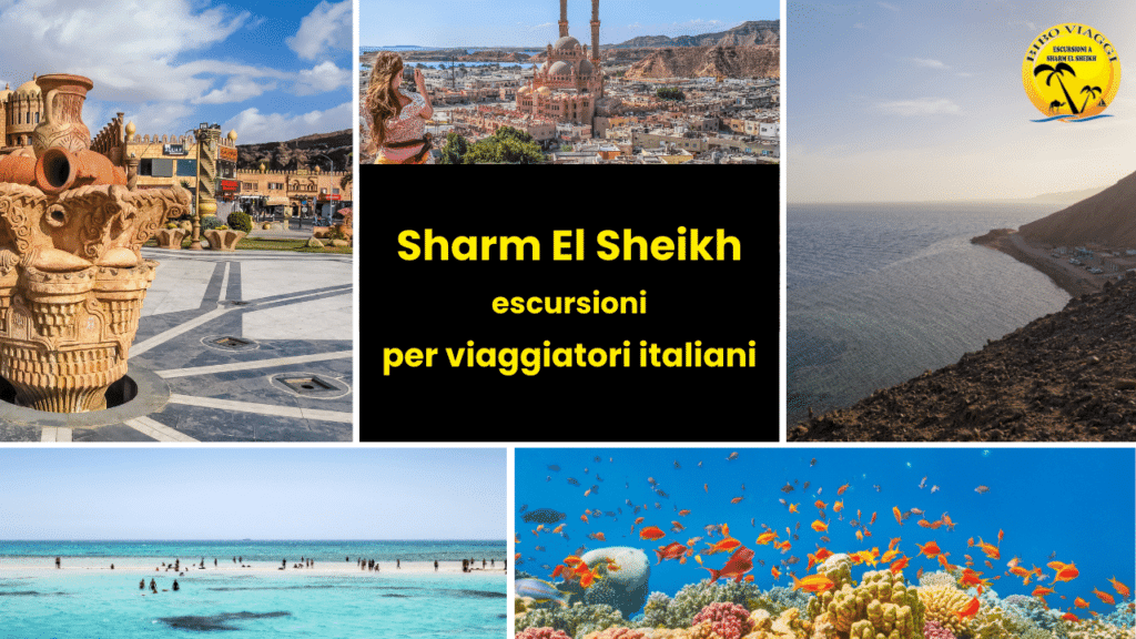 Le migliori escursioni a Sharm El Sheikh per viaggiatori italiani