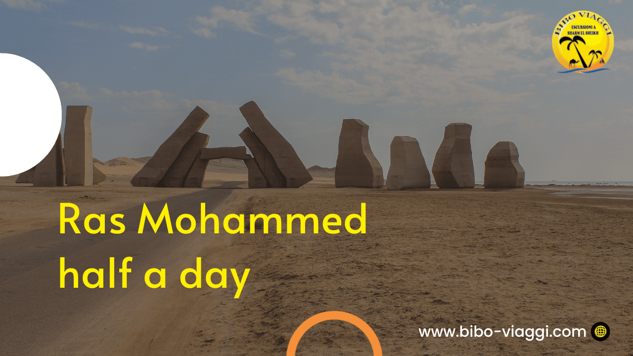 Ras Mohammed half a day