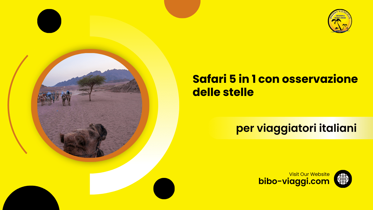 Safari 5 in 1 con osservazione delle stelle