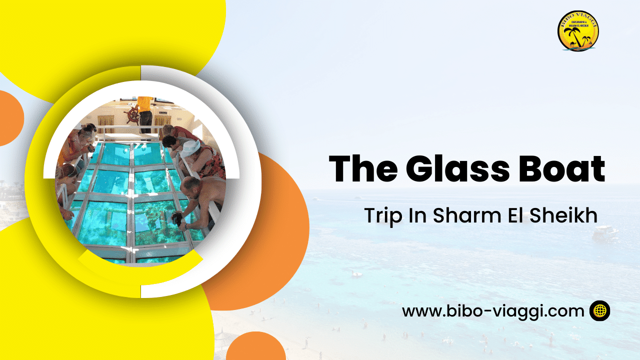 The Glass boat Trip In Sharm El Sheikh