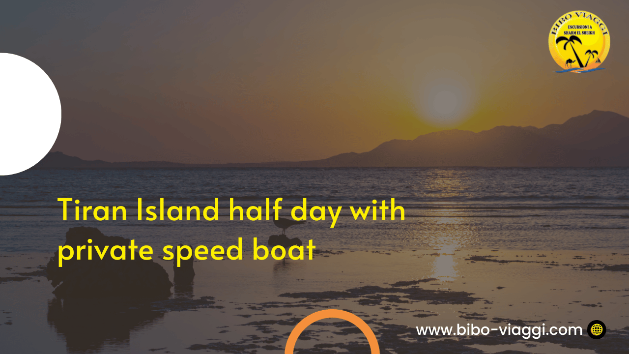 Tiran Island half day with private speed boat