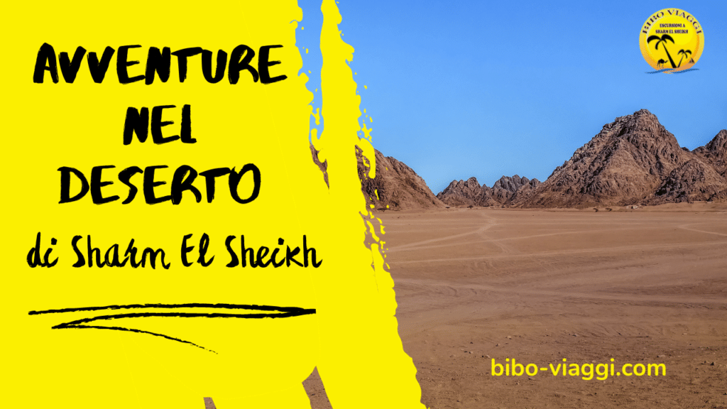 Avventure nel deserto di Sharm El Sheikh Un'oasi tranquilla per gli esploratori italiani