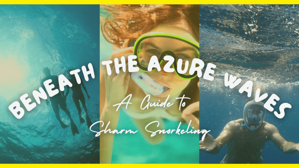 Beneath the Azure Waves A Guide to Sharm Snorkeling for Italian Visitors