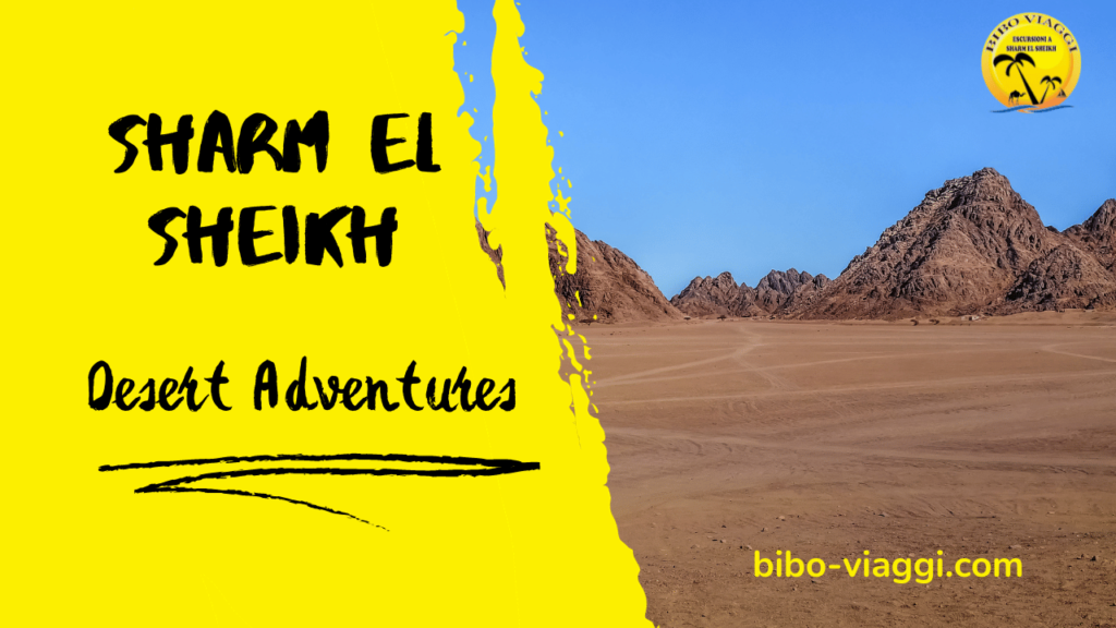 Sharm El Sheikh Desert Adventures A Tranquil Oasis for Italian Explorers